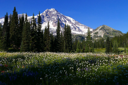 90377: Mirror Lake by williswall  
