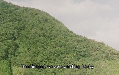 365filmsbyauroranocte:  Moe no suzaku (Naomi Kawase, 1997)