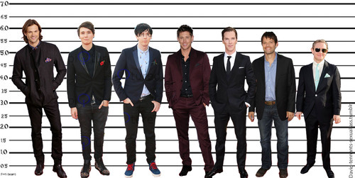 vordloldemorts:  litsy-kalyptica:  david-tennants-snowy-ass:  getawaytonight:  Jared Padalecki is taller than Dan Howell. Dan Howell is taller than Phil Lester. Phil Lester is taller than Jensen Ackles. Jensen Ackles is taller than Benedict Cumberbatch.