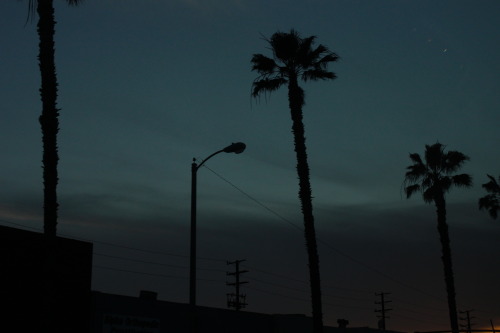 los angeles, ca | necessaryaesthetic