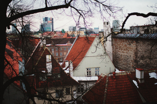 foreverforesme:  hellanne:  by Anastasia Autumn  here you go, dingus 