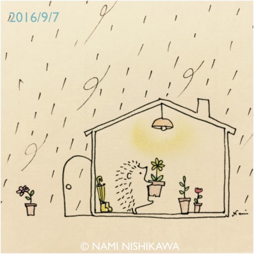 namiharinezumi: 963 台風来るからみんなお家に入って A typhoon is coming tomorrow. Please come in, flowers.