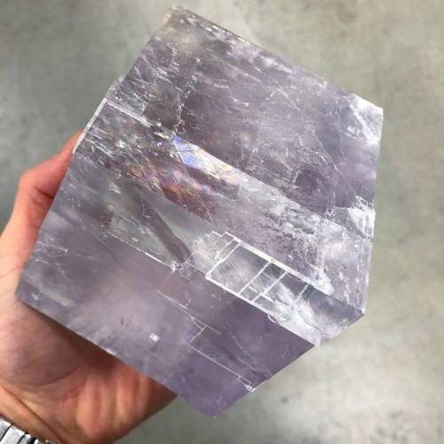 geologyin-blog:Lavender Optical Calcite! Photo: Geologic Gallery