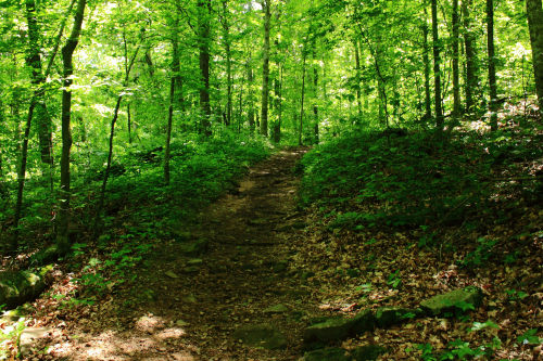 Lost Valley Trail - Buffalo National River, Northwest Arkansas by Dan Davis