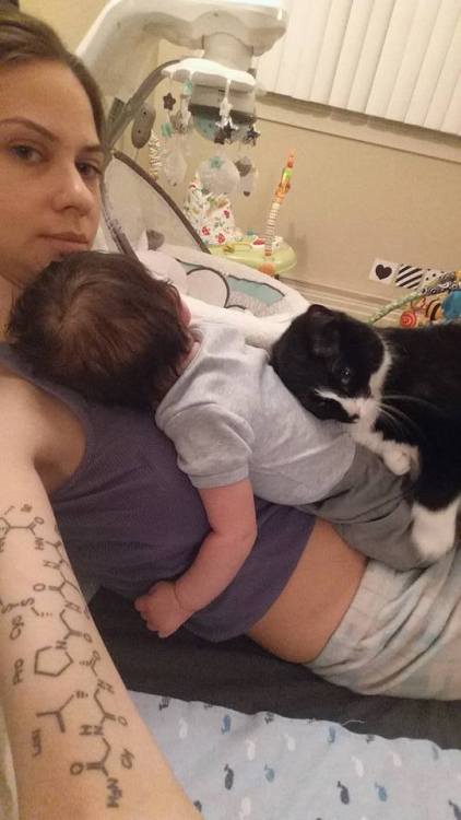 sanakan:  catsbeaversandducks:  This cat fell in love with a baby before he was born and now guards 