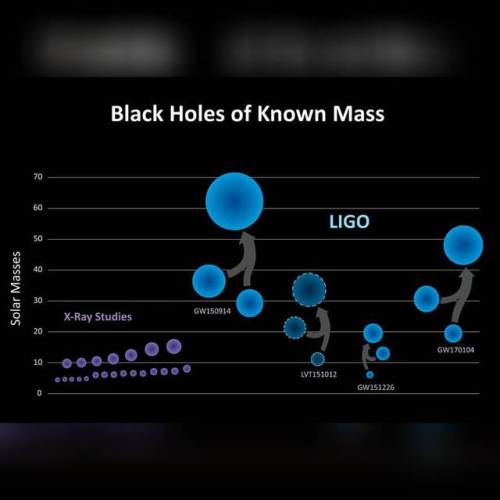 Black Holes of Known Mass #nasa #apod #ligo #nsf #blackhole #blackholes #blackholemerger #gw150914 #gw151226 #gw170104 #lvt151012 #ripples #spacetime #gravitywaves #interstellar #intergalactic #universe #milkyway #galaxy #space #science #astronomy