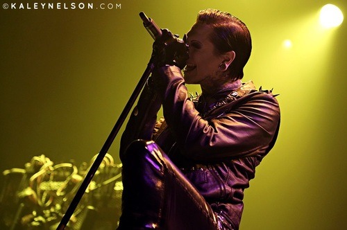 chrismotionlessisthenewking:  source kaleynelson.com