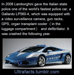 ultrafacts:  Source Follow Ultrafacts for