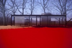 likeafieldmouse:  James Welling - Glass House (2006-9) Artist’s statement:  “When Frank Lloyd Wright visited the Glass House, as Philip Johnson tells it, he was unsure whether he was inside or outside. He said that he didn’t know whether or