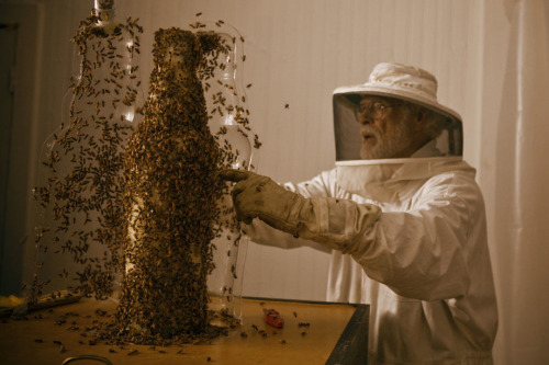 nautical-constructs:  killa-kelly:  emilet:  1los:  Bees are nature’s 3D printer  Fucking bees are the best.  Fuck yes they are.  what the actual fuck bees. why are you engineering geniuses 