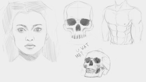 Daily Sketches