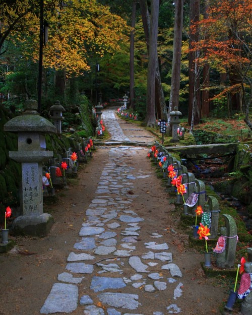 【滋賀県】金剛輪寺お地蔵さん . 風車のついたお地蔵さんが 参道にずっと並んでます❇️ . （2021/12/02撮影） . #金剛輪寺 #金剛輪寺千体地蔵 #風車 #金剛輪寺紅葉 #お地蔵さん #お