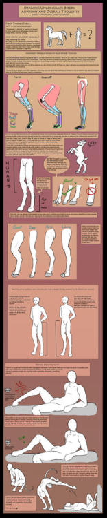 art-tnt:How To Draw Unguligrade Bipeds (IE: Hoofed People)Artist: The13thBlackCat