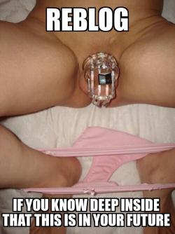 Imasissyslut:  Hahaha Future? Sissy Chrissy Has Already Been Locked Up For 3 Months