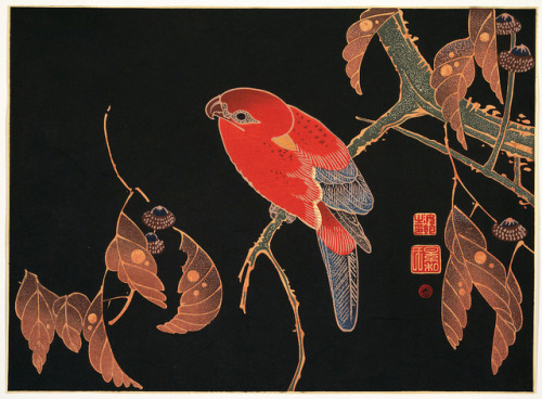 Itō Jakuchū (1716-1800), &lsquo;Red Parrot on the Branch of a Tree&rsquo; (Meiji era copies of polyc
