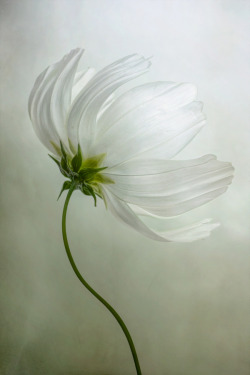 lovequotesrus:  Photo by Mandy Disher Everything you love is here