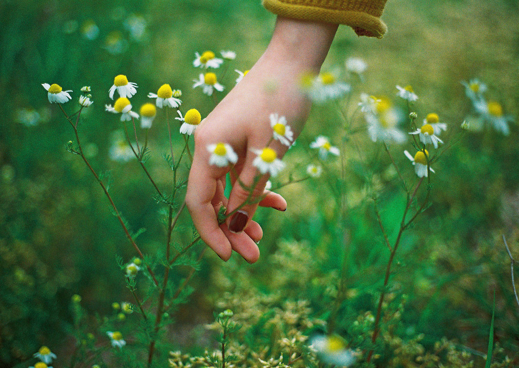 floralls:  by   sol annablog / facebook