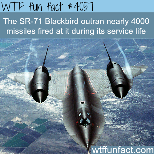 wtf-fun-factss:  The SR-71 Blackbird - WTF fun facts   