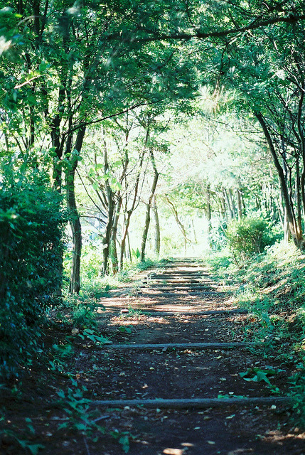 brutalgeneration:191/365 by nijntjee on Flickr.