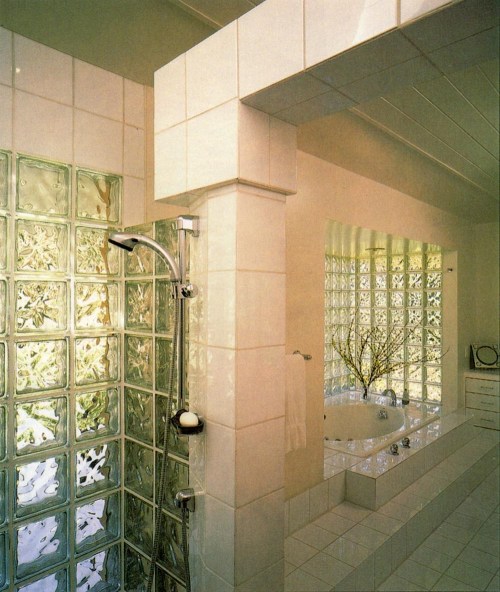 GLASS BLOCK BATHROOMS