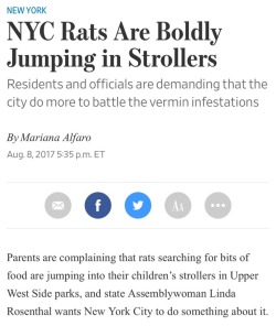 nervous-bitch: i am absolutely losing my mind over this article imagine living in the upper west side literally paying millions of dollars for a luxury apartment in the richest part of the greatest city in the world, you walk out of your complex with