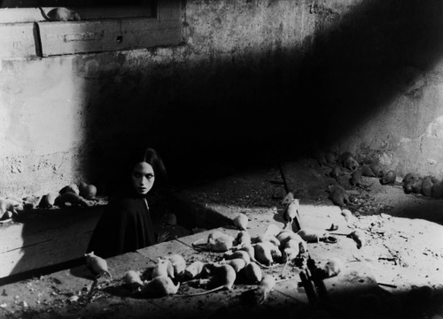 mindblownie:an endless list of favourite movies: nosferatu the vampyre (1979)listen. the children of