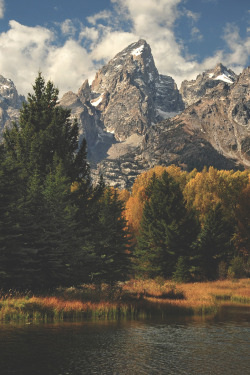 tryintoxpress:  End of the Trail - Photographer ¦ Lifestyle - Nature - 18+    