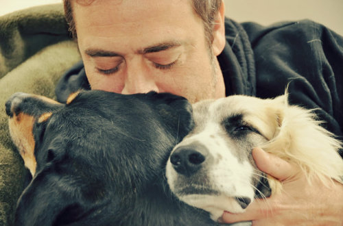 ladylorelitany:  astronomielover: peyton-sawyer-scott18:  Jeff and puppies.   Jeffrey Dean Morgan + Dogs = 💘💞💓  Always reblog Jeff and dogs. <3