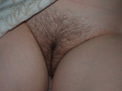 amclub:my wife’s perfectly trimmed bush.