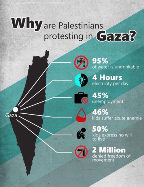 youthincare:[ image is grey and green shades in the background. There is a map of Palestine with Gaz