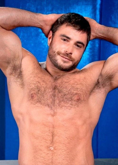 Porn photo bearpitpig:  #HairyPits #Armpits #Bear #Pits