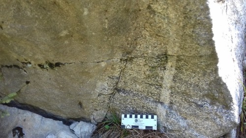 geologyedinburgh:White-Nepheline Syenite quarry in Harghita, Romania. It was abandoned in the 90s.