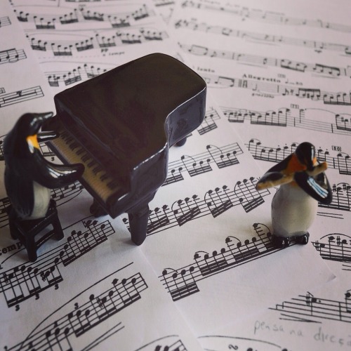 soyouwanttoplaytheflute:So cute!