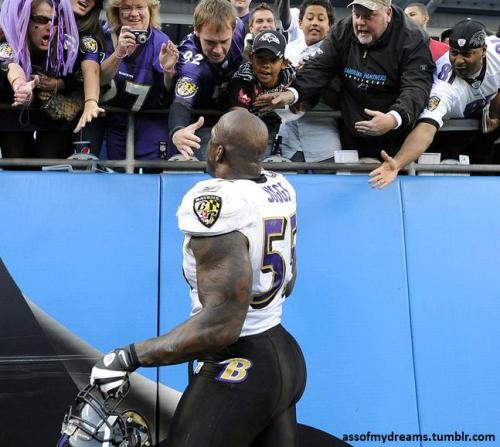 assofmydreams:  Terrell Suggs’ super-sized ass