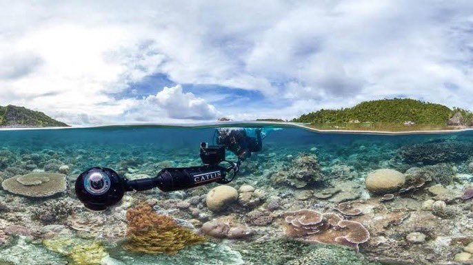 Chasing Coral  Bu film,...