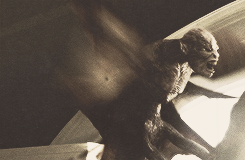 harrypotter-and-percyjackson:  It’s funny how humans can wrap their mind around