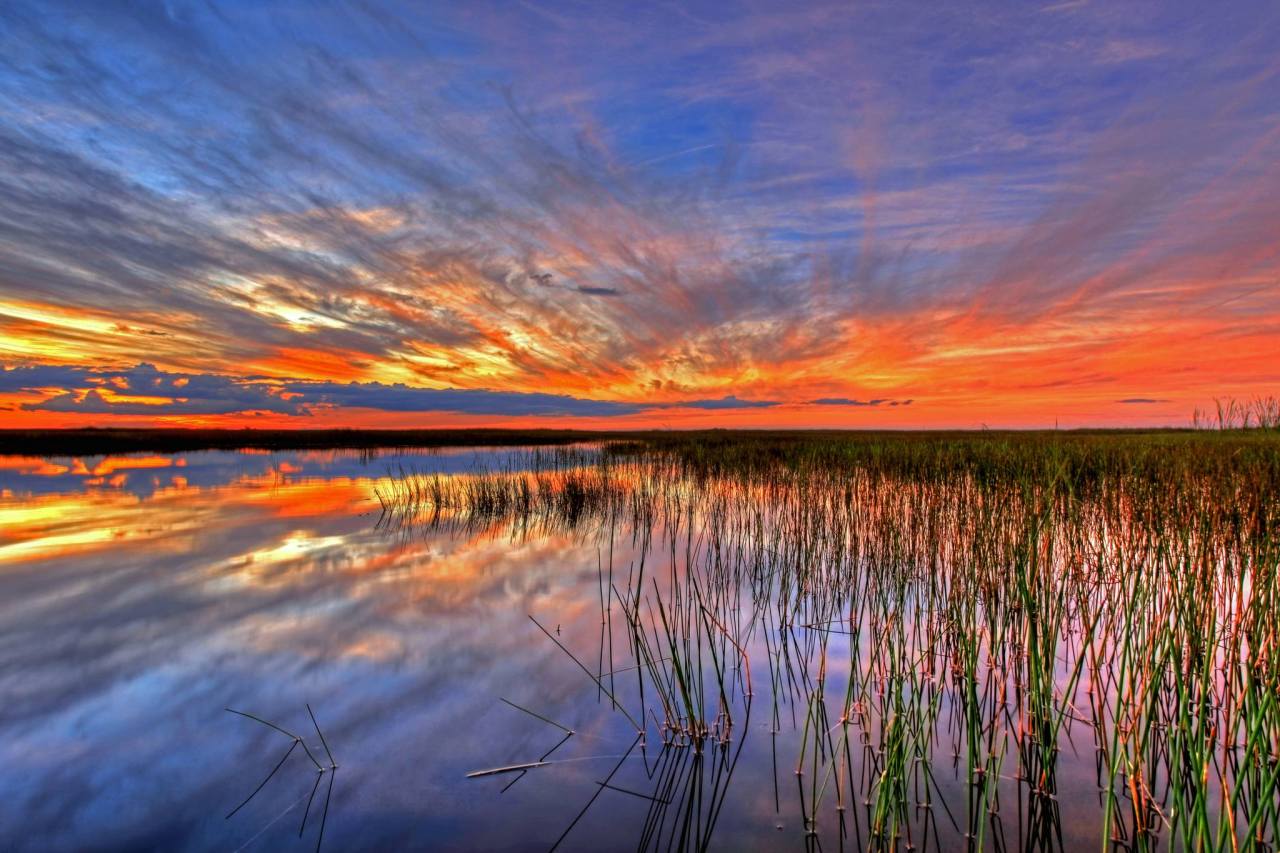 americasgreatoutdoors:  Everglades National Park in Florida protects an unparalleled