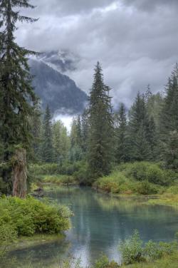 amazinglybeautifulphotography:  A wolf was spotted here a few minutes before we arrived. Hyder, Alaska. [OC][3455 x 5196] - E-Bum