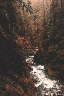 lsleofskye: Untitled | r4s