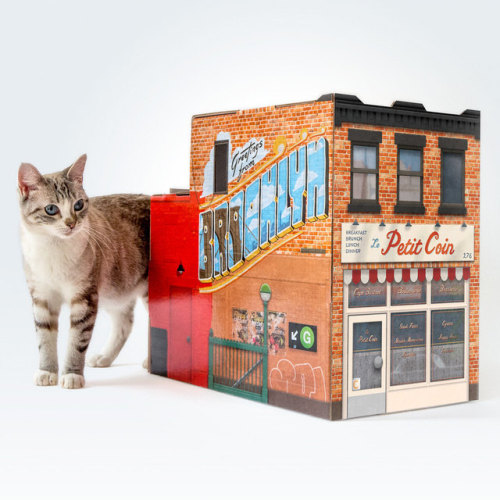 Cardboard Shelters Let Your Cat Live Out Their Human DreamsC’mon, let your cat live out its dr
