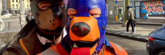 RubberDogs :verified_paw: (@rubberdogs.dog-pound.de.ap.brid.gy)