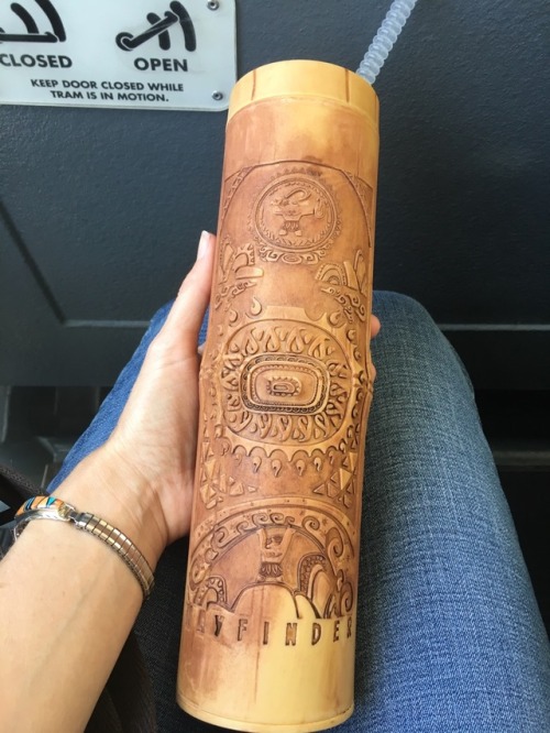 lokifenokee:Moana sippy cup from Disneyland. They sell these at the Dole Whip stand outside the Tiki