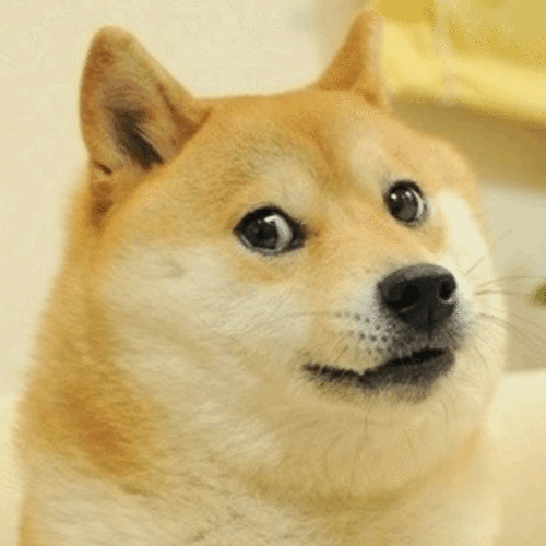 El perro que todos editan