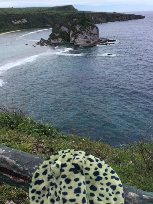 Bird Island is a bird sanctuary. Humans aren’t even allowed to set foot on it! (My friend said