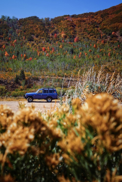 Fall drives to autumn trail rides.  