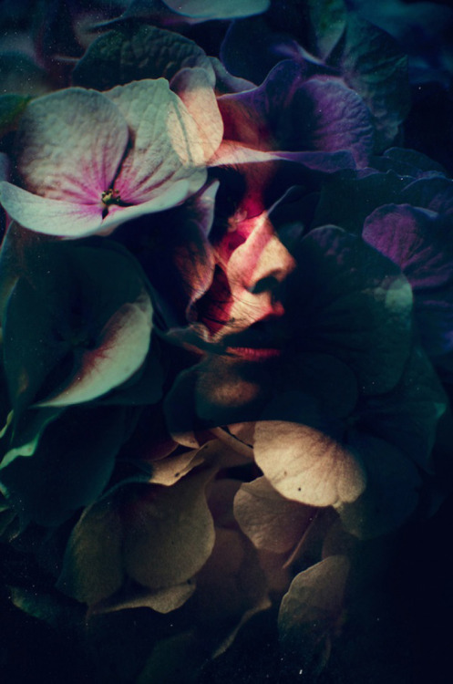 nevver: Camera obscura, Lara Kiosses