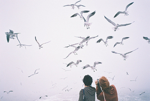 sommerlanding.