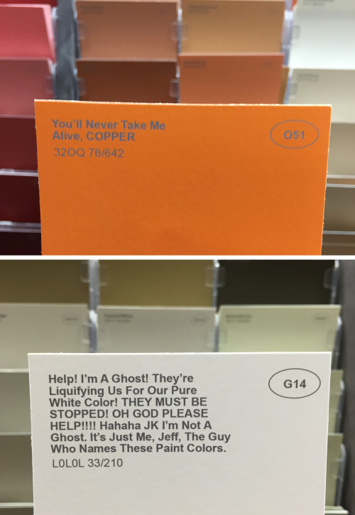 obviousplant:  Renamed paint colors! adult photos