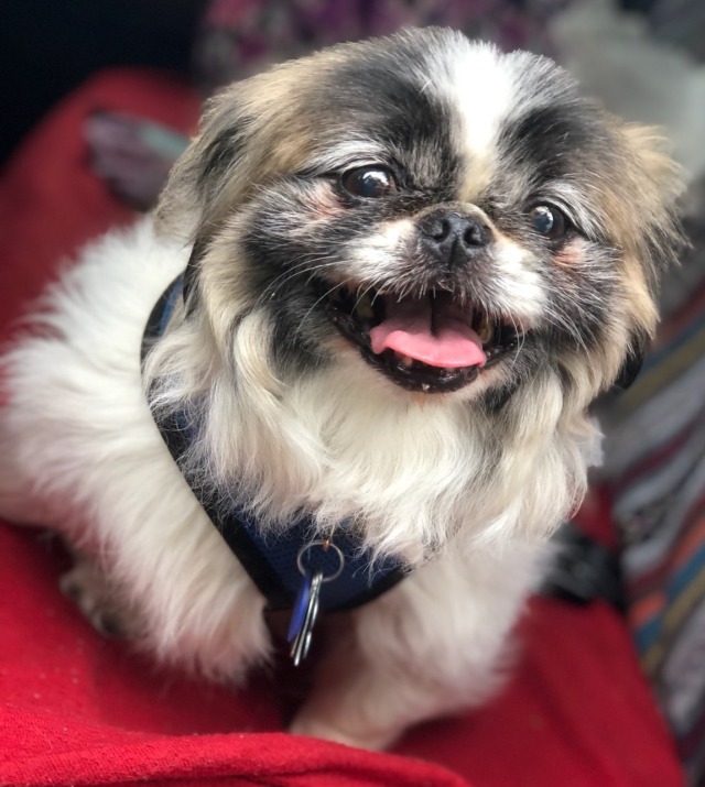 Frankie wishes everyone a Happy Valentine&rsquo;s Day ❤