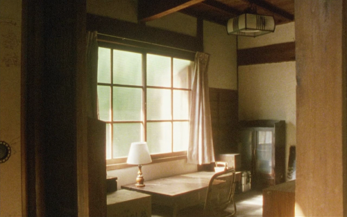 365filmsbyauroranocte:  Moe no suzaku (Naomi Kawase, 1997)